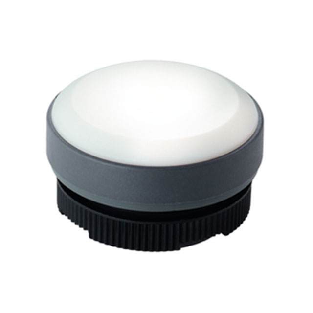 1.74.508.001/2200 RAFI USA  Voyants du panneau